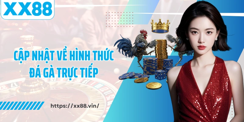 Cập nhật về hình thức đá gà trực tiếp